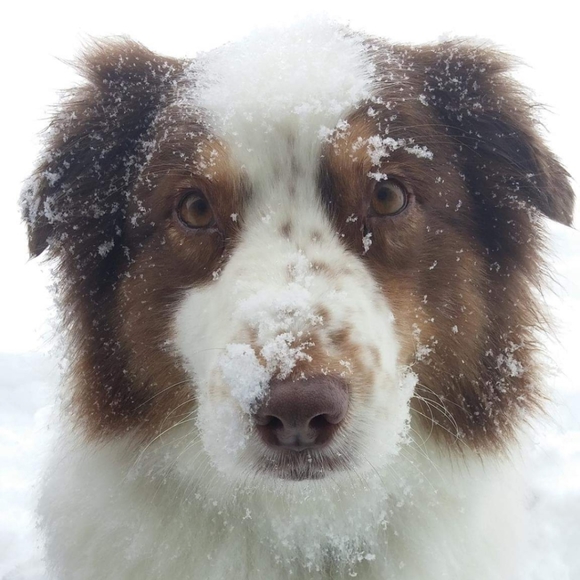 Meet your Posher, Jenny - Picture 7 of 7